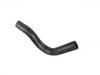 Radiator Hose:25411-2E350