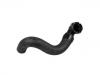 Manguera de radiador Radiator Hose:25412-1J100