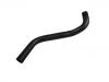 Radiator Hose:25412-25100