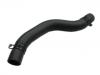 Radiator Hose:2541138040