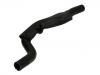 Radiator Hose:97310-1C100